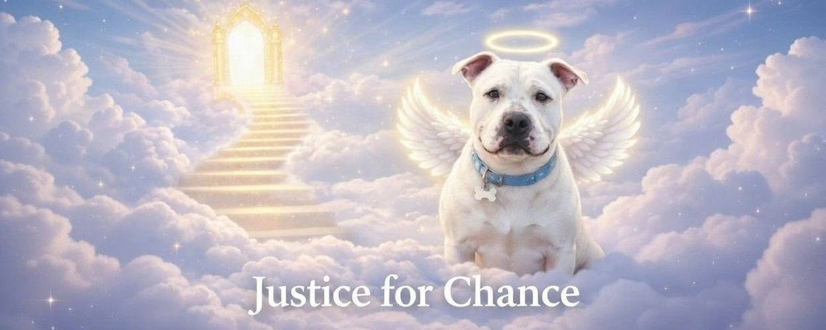 To be honest, $peanut was used, but there's no one to use $Chance. That's why it's more transparent. Justice for $Chance

6CZ9nrgyroZ8KBBZYM1tW5rc7APTPKr9GkJMfRvApump