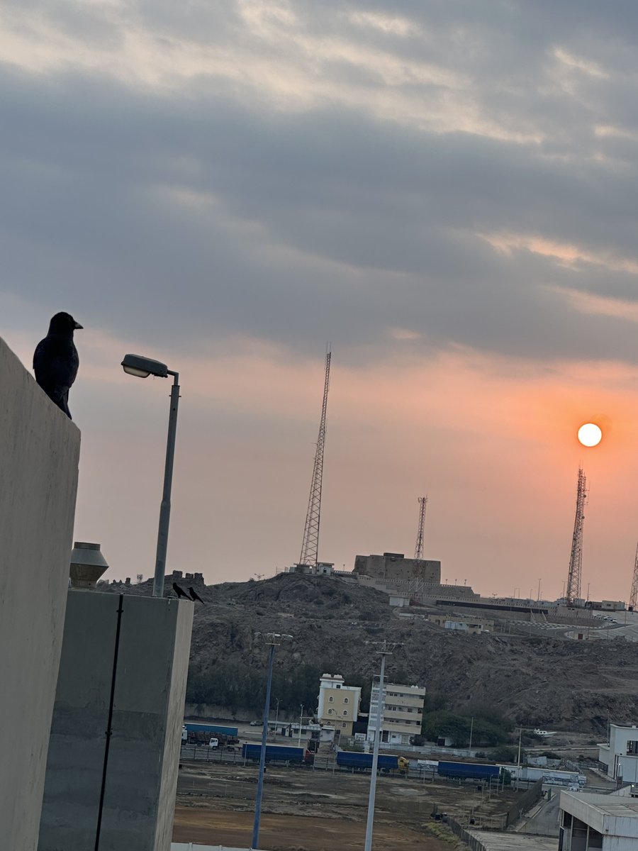 i_alajam's tweet photo. https://t.co/0UUcv8GBPA