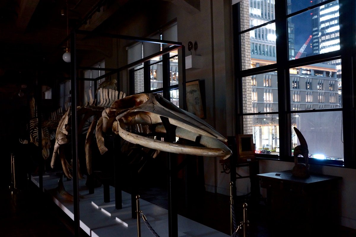 インターメディアテク tweet media