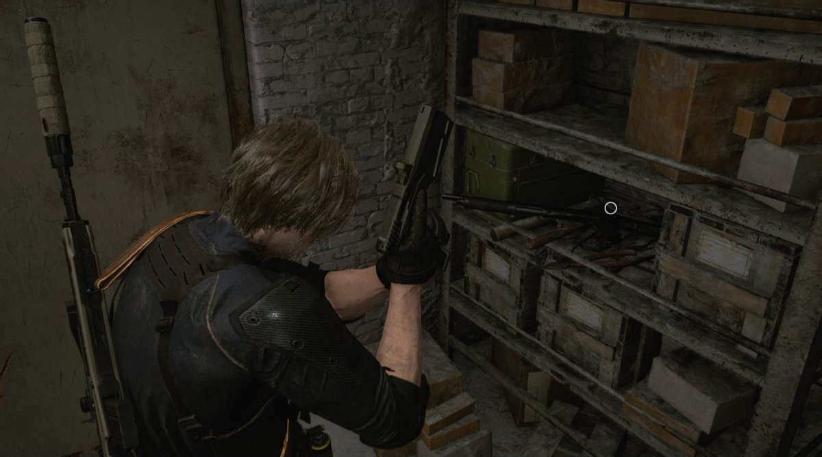 Resident Leo. tweet media