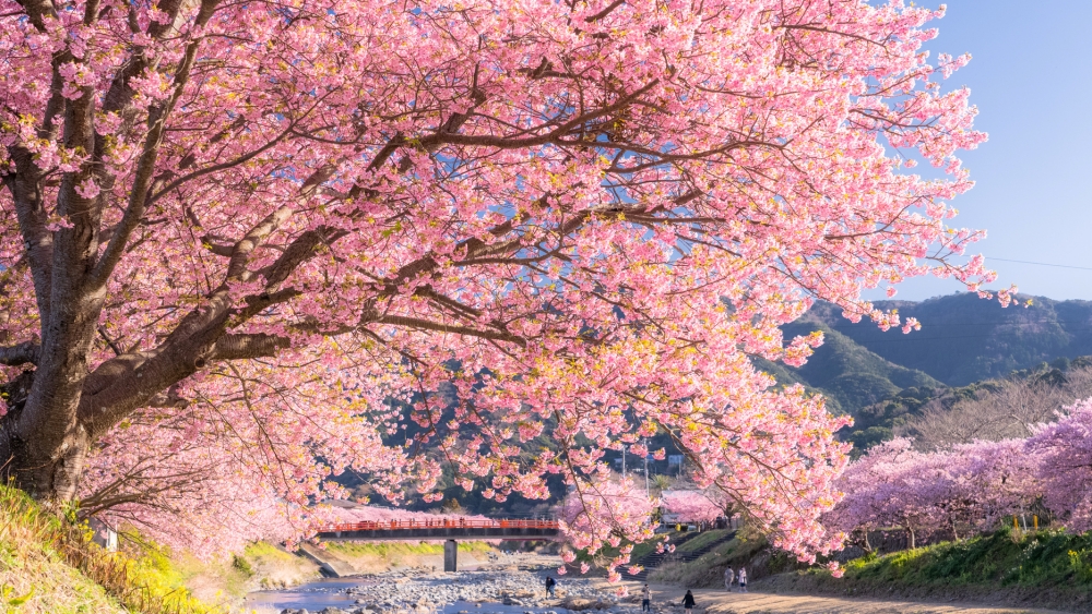 The Gov't of Japan tweet media