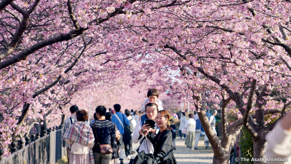 The Gov't of Japan tweet media