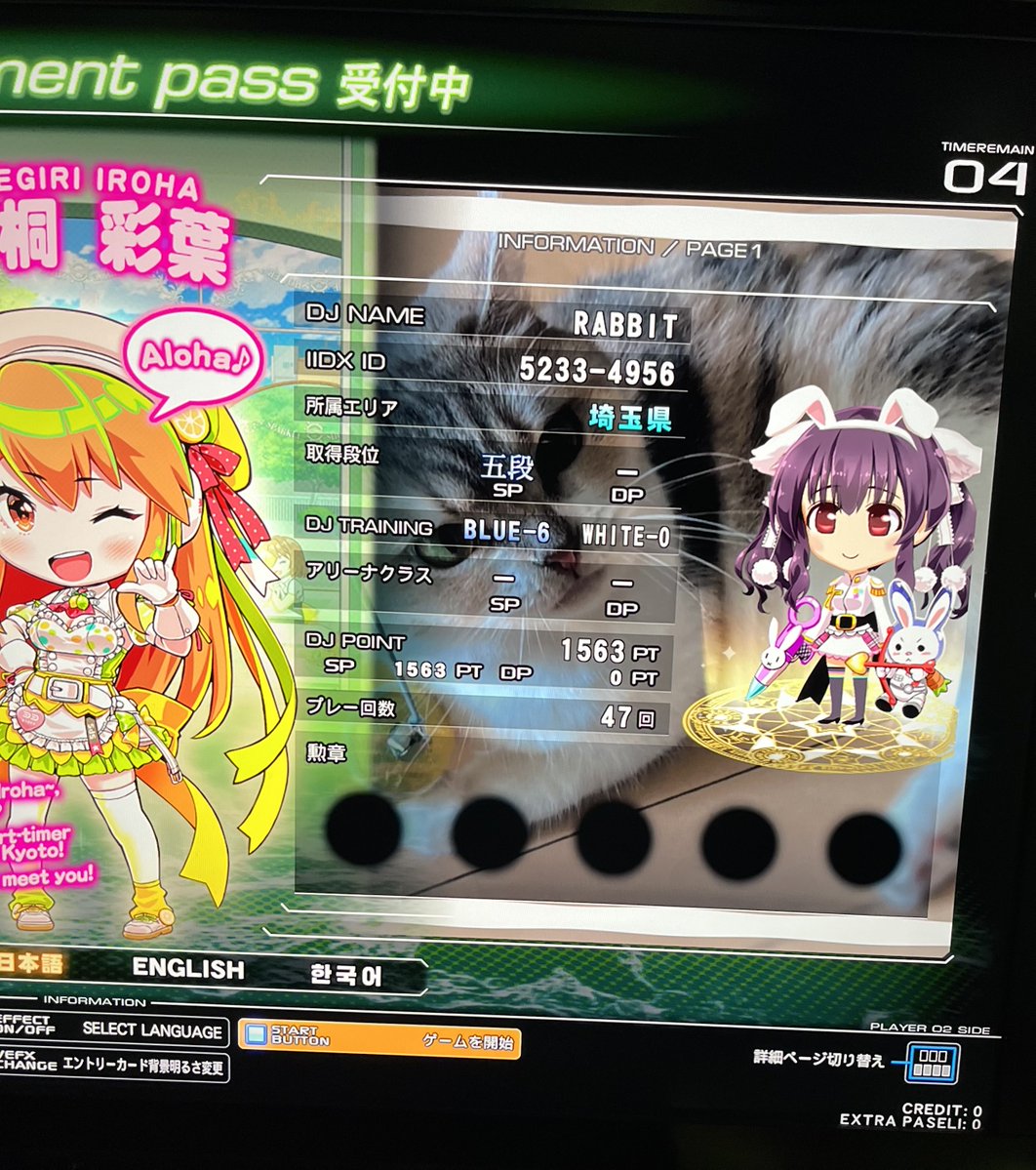 エンジョイ勢だけど弐寺やってますぞ(適正難易度8〜10ぐらいの人)