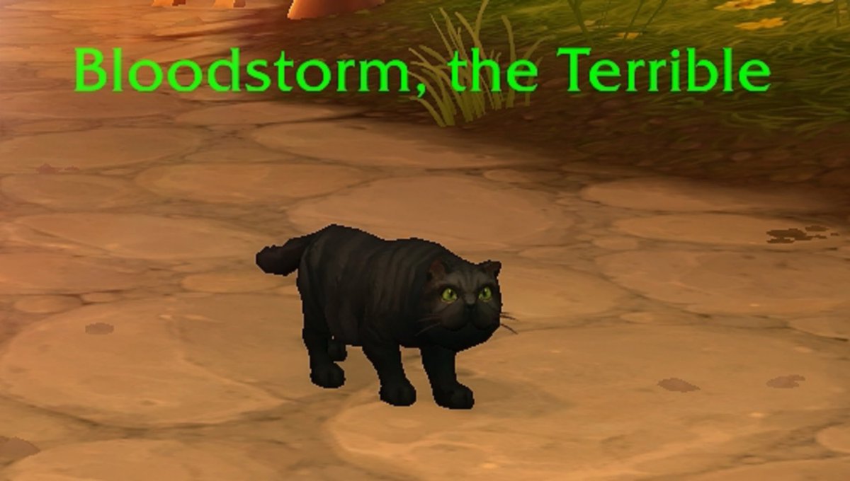 ── .✦ Sad tweet media