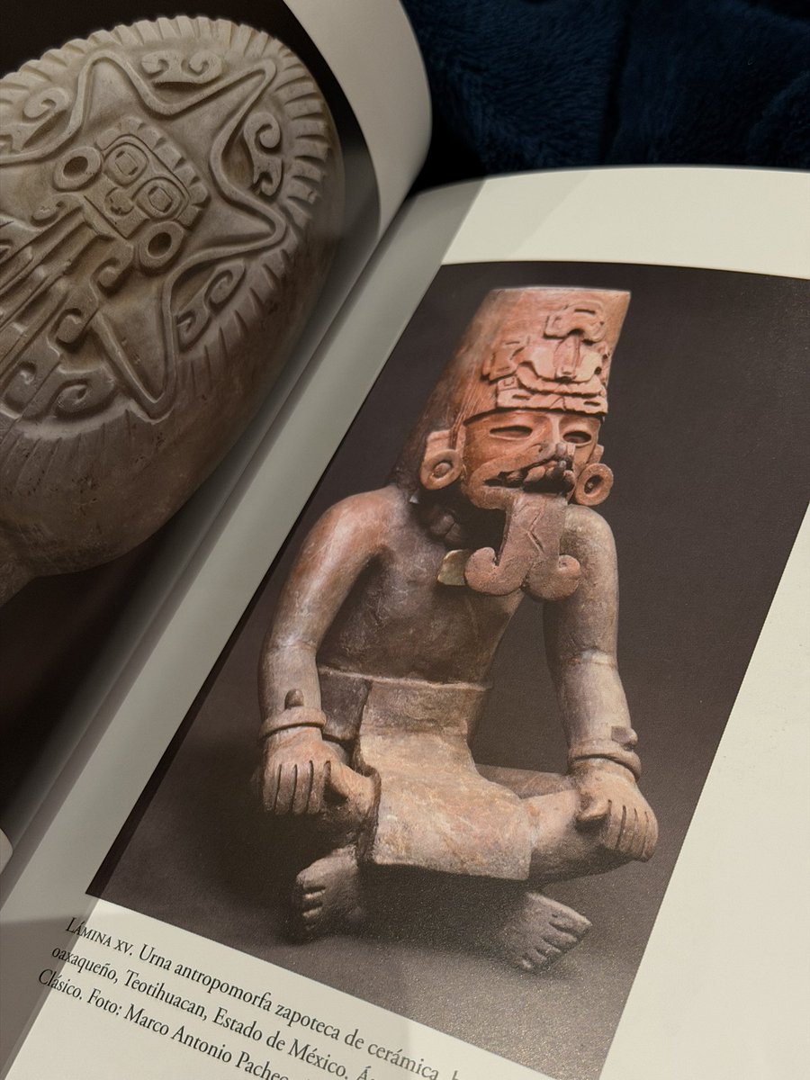 "El pasado indígena", de Alfredo López Austin y Leonardo López Luján, nos brinda un panorama general de las culturas americanas más remotas, con un particular enfoque en el mundo mesoamericano. 

Estos autores realizaron un trabajo excepcional, convirtiéndolo en un digerible