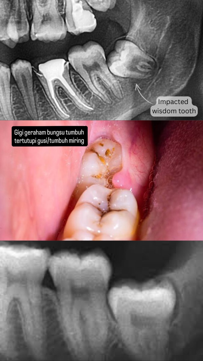 Udinus Menfess tweet media