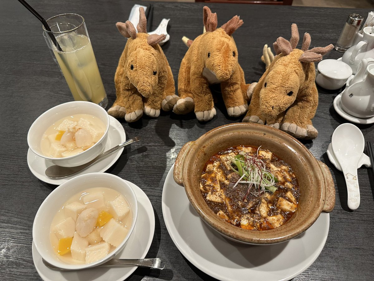 tescowaitrose's tweet photo. 中国料理 #吉慶 で、久しぶりの麻婆豆腐と杏仁豆腐、縄文人もビックリ栗ソフトクリーム、うまうま😋#青森市 #青森駅 #LOVINA #青色申告 終わったー‼️#コロナ後遺症（#LongCOVID）でも、よく頑張って入力・精査できたよ自分😭一つの大きな山場を乗り越えた！ https://t.co/qRtICNG9K7