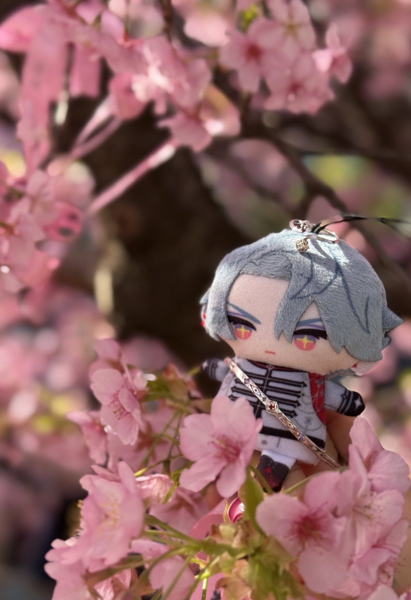 Where blossoms meet brilliance. 🌸✨
A gentle sparkle to begin the month.

花咲く季節に、そっと輝きを。🌸✨
今月のはじまりに、やさしいきらめきを。

#Applesin_es x #NIJISANJI_EN
 #WishesandWonders 

▼Collaboration Page/ コラボ特設ページ
applesin-es.com/collection-sto…