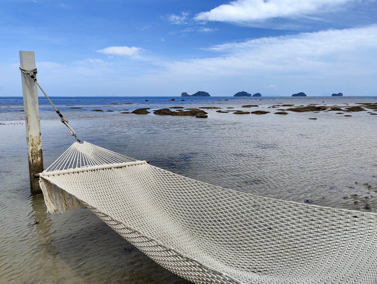 FattyNatsu tweet media