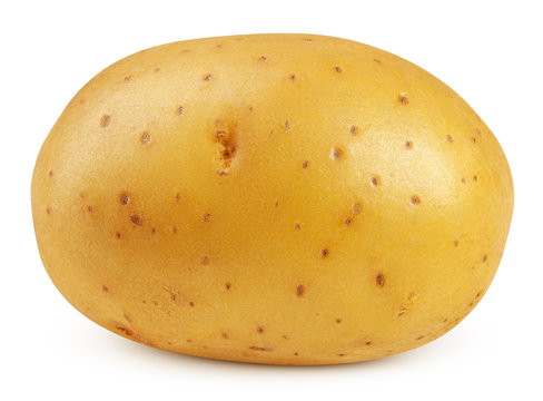 daisymaysss's tweet photo. Top tier ESO gameplay today! First time playing day 2! Live right now!
https://t.co/cOvdPvvEvp
here is a photo of a potato for today
#twitch #streaming #stream #Elderscrollsonline #notaustralian https://t.co/7ulfWsQPUp