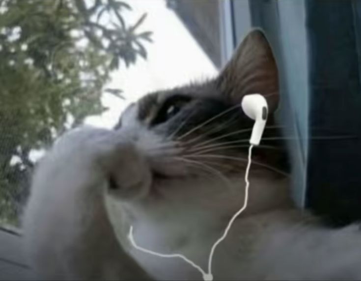 Takeshi Kovac tweet media