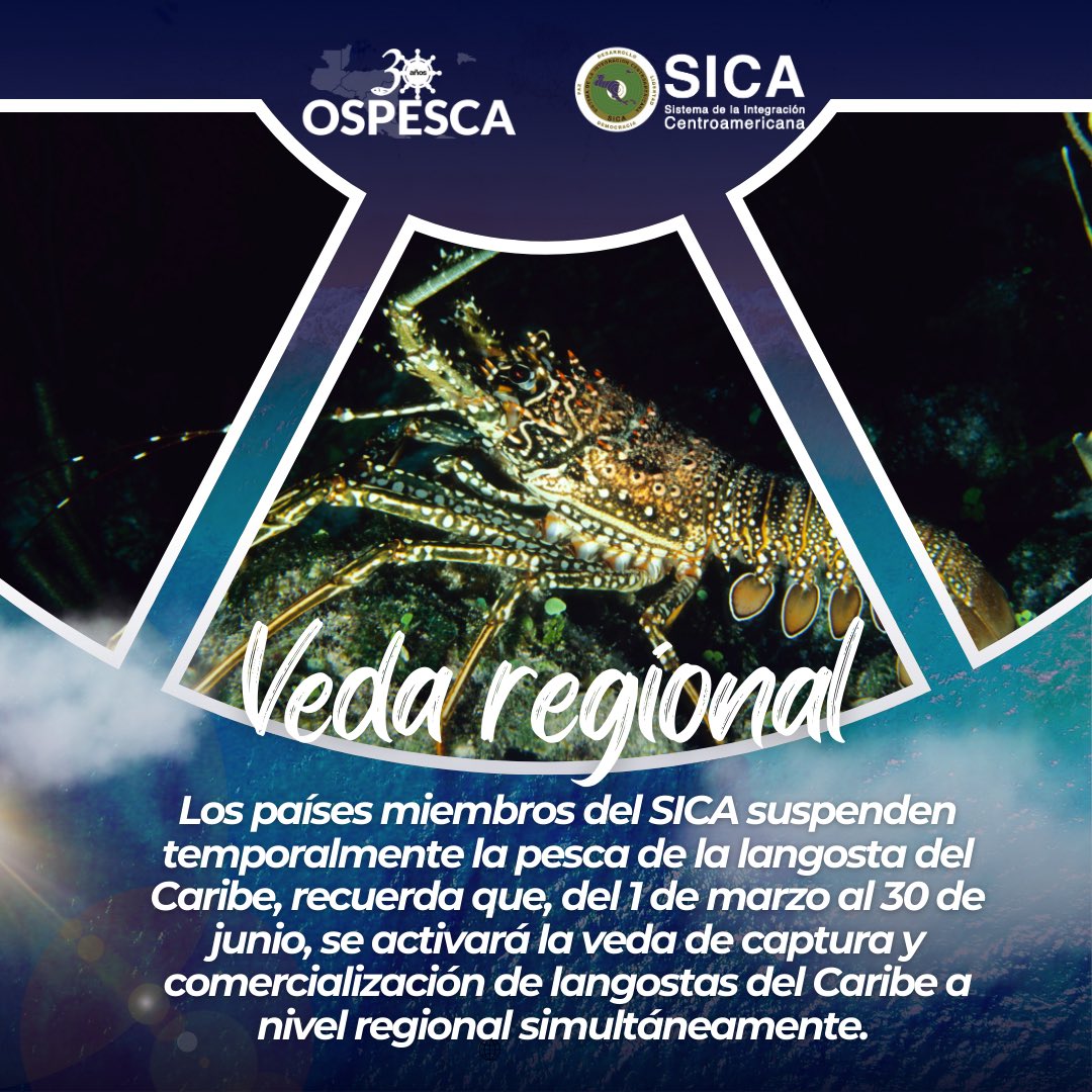 SICA/OSPESCA tweet media