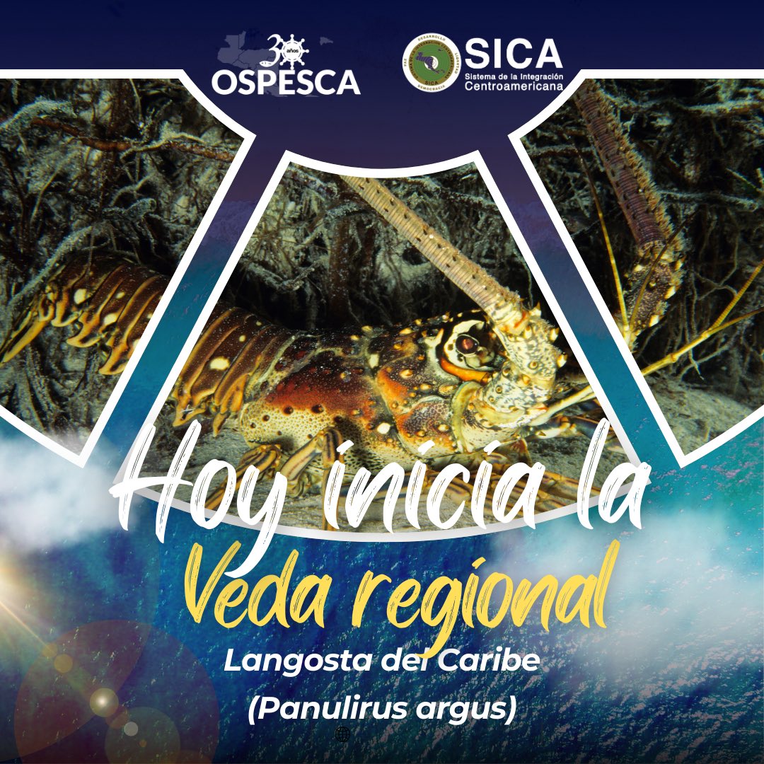 SICA/OSPESCA tweet media