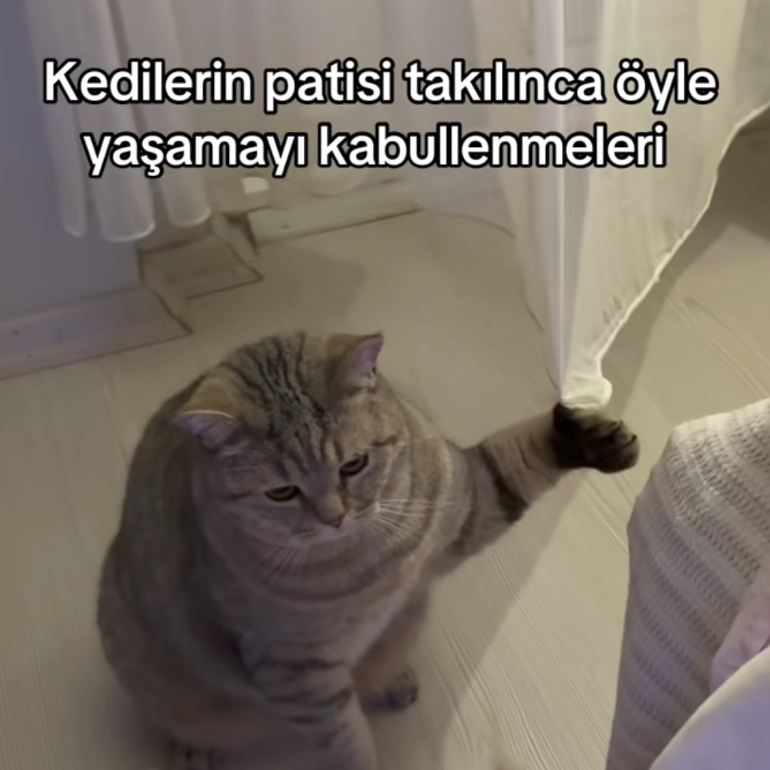 anlikmod's tweet photo. https://t.co/hAOKk6isic