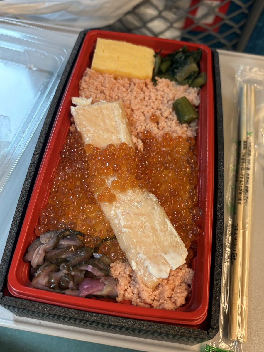 結局いつも駅弁はこれ選んでしまう
ちょっと東京行ってくる
滞在時間2時間もないけど！笑
本当はソウルメイトにも会いたかったセヨ
けど仕事休めないから仕方ないね