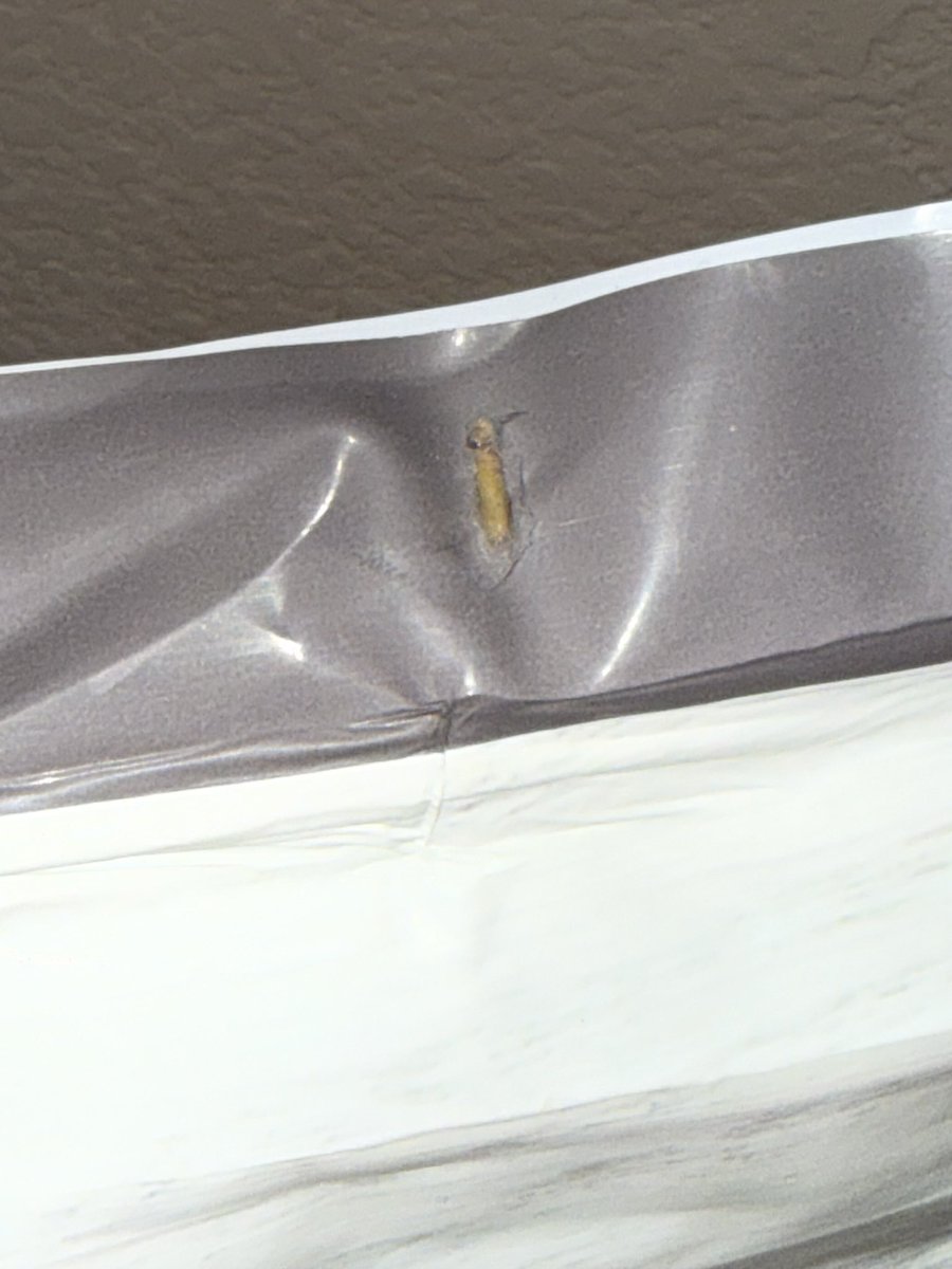 Stuncle Tory 😈 tweet media