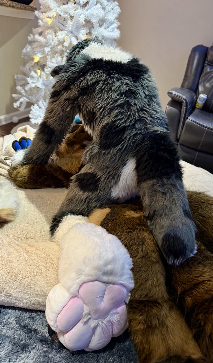 twopiecedior's tweet photo. Pounce your friends 🥰🐶

🛌 @russkcat https://t.co/5MqNj6zgUB