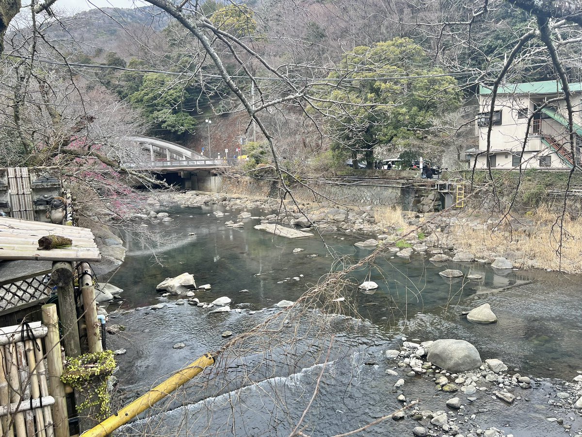 箱根でシナリオ合宿する　ぞ！！！ウオーッ（加藤）