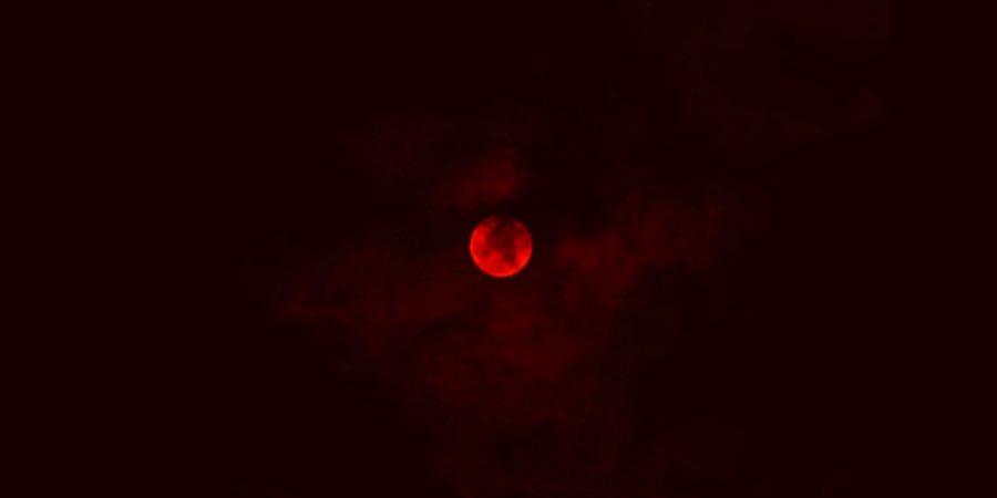spookyxxboobs's tweet photo. blood moon sacrifices https://t.co/3RpKyFALGJ