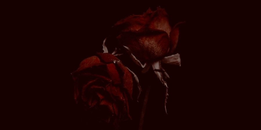 spookyxxboobs's tweet photo. blood moon sacrifices https://t.co/3RpKyFALGJ