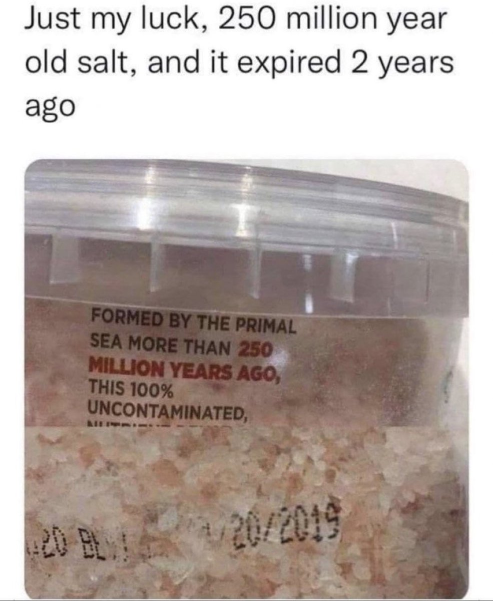 bONGO 2000 💫 tweet media