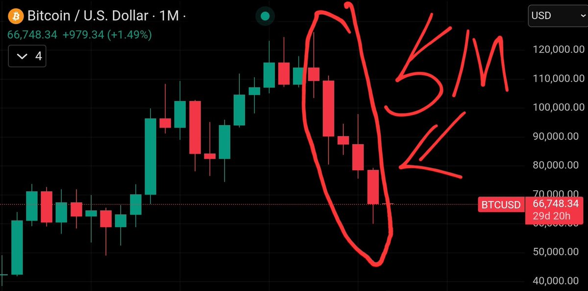 비트코인 2월도 음봉 마감 -> 작년 10월부터 5개월동안 월봉 음봉 마감