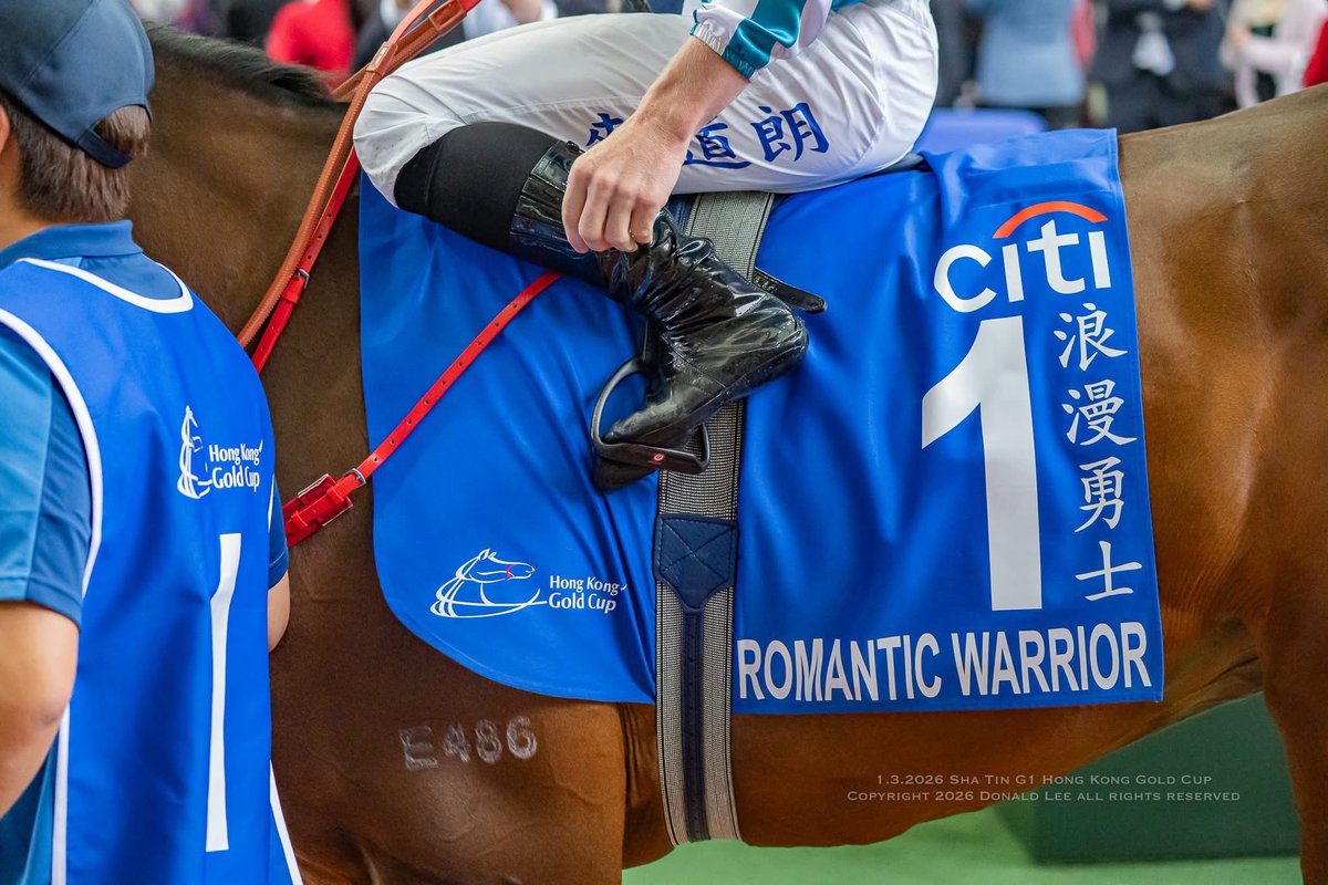 Donald Lee tweet media