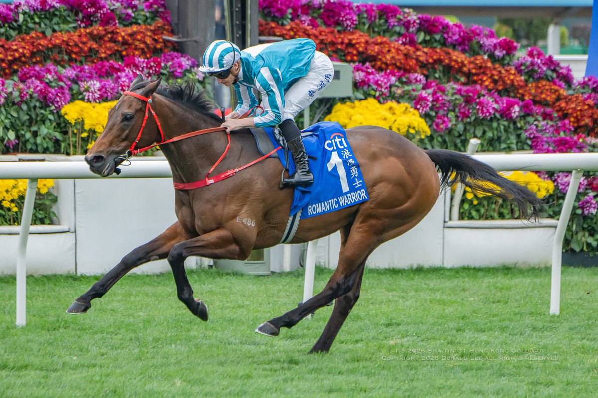 Donald Lee tweet media