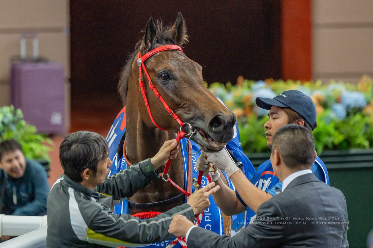 Donald Lee tweet media