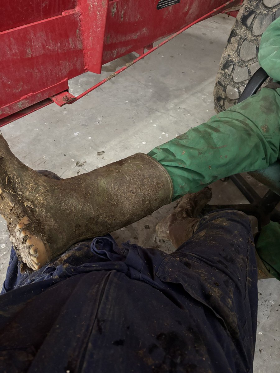 Franco Vaccaro tweet media