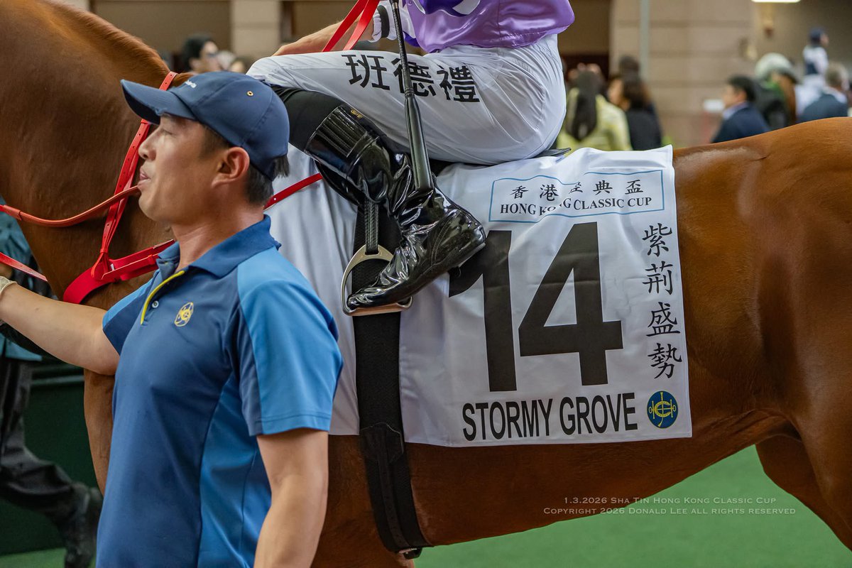 Donald Lee tweet media