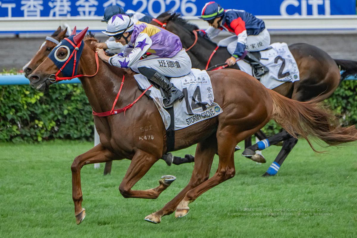 Donald Lee tweet media