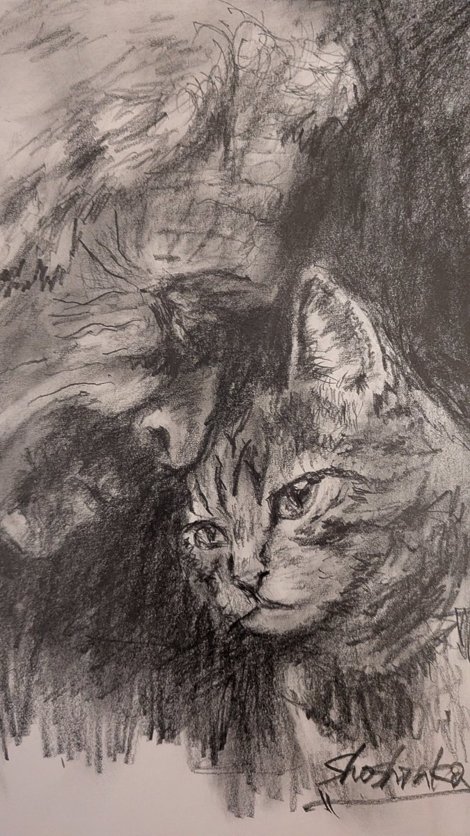 老人と猫」 しばらく、体調を壊していました😰絵を描くのも集中力が