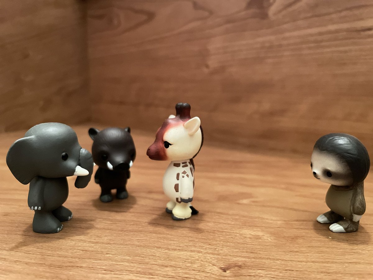 ナマケモノのkeyの日常 tweet media