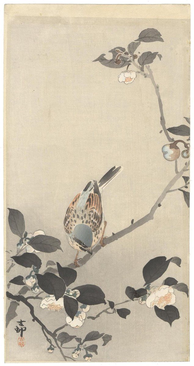 Andrei Imeretin tweet media