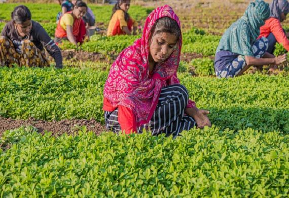 WomenEntrepre16's tweet image. AM/NS India Empowers Women Farmers With Agri Machinery

Read More: lnkd.in/gy3gEyQ4

@AMNSIndia 

#AgriMachinery #paddyprocessing #financialliteracy #entrepreneurship