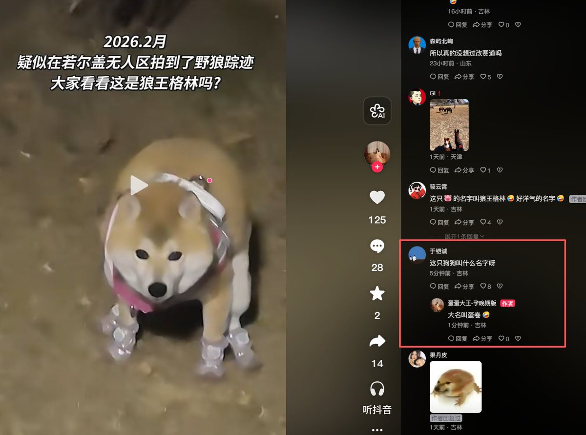 ColeHacker's tweet photo. 作者刚刚回复的真名蛋卷 https://t.co/FjOhUdQPEK