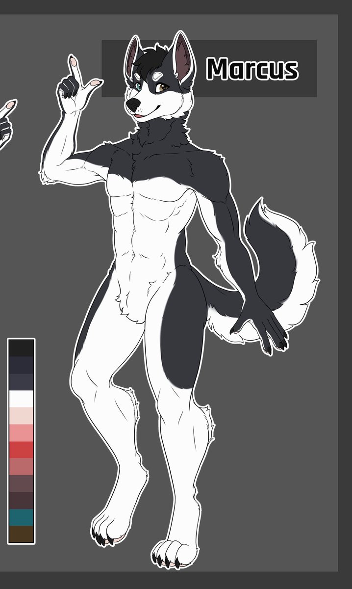 Marcus The Oreo Husky tweet media