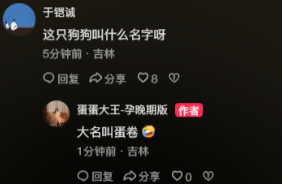 ColeHacker's tweet photo. 作者刚刚回复的真名蛋卷 https://t.co/FjOhUdQPEK