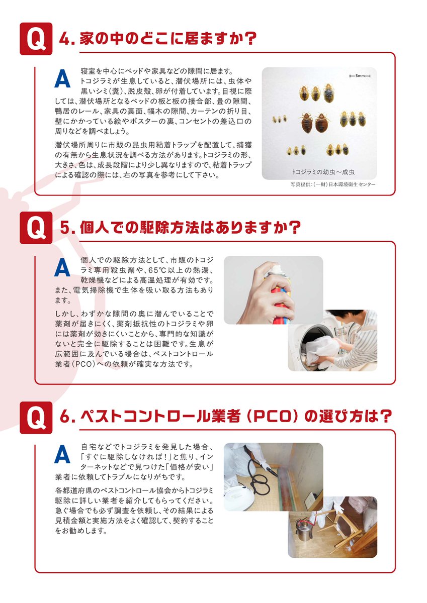 JPCA1's tweet photo. 「トコジラミQ＆Aパンフレット」リニューアルの中面はこちら！
＃トコジラミ
＃ペストコントロール
https://t.co/wlsjpYTbDB https://t.co/dpttoE0qao