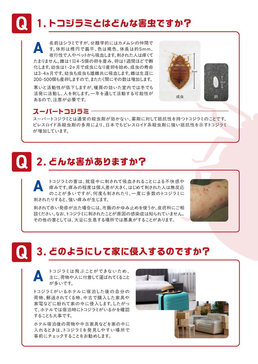 JPCA1's tweet photo. 「トコジラミQ＆Aパンフレット」リニューアルの中面はこちら！
＃トコジラミ
＃ペストコントロール
https://t.co/wlsjpYTbDB https://t.co/dpttoE0qao