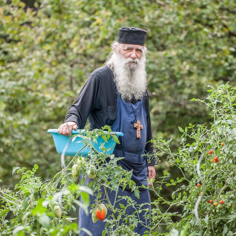 Never do a job
without putting your trust in God
with great humility;

otherwise, you'll agonize and tire
your mind and soul.

Lack of faith hides behind anxiety,
but pride can cause it too.

St Paisios of Mt Athos (+1994)