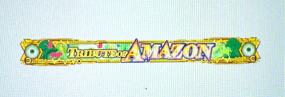 9X2A9's tweet photo. Amazon全鳥とマップ完走✌︎︎︎⸜( •̅ ·͜· •̅)⸝✌︎ https://t.co/4NMd7voHmO