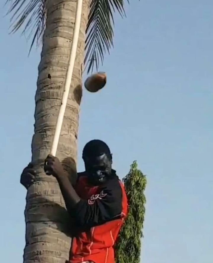 Nimefungua mlango kidogo nichungulie kama caretaker ako kwa nyumba nitoke ploti mapema juu sijalipa rent ya last month nikampata amesimama nje ya mlango yangu.