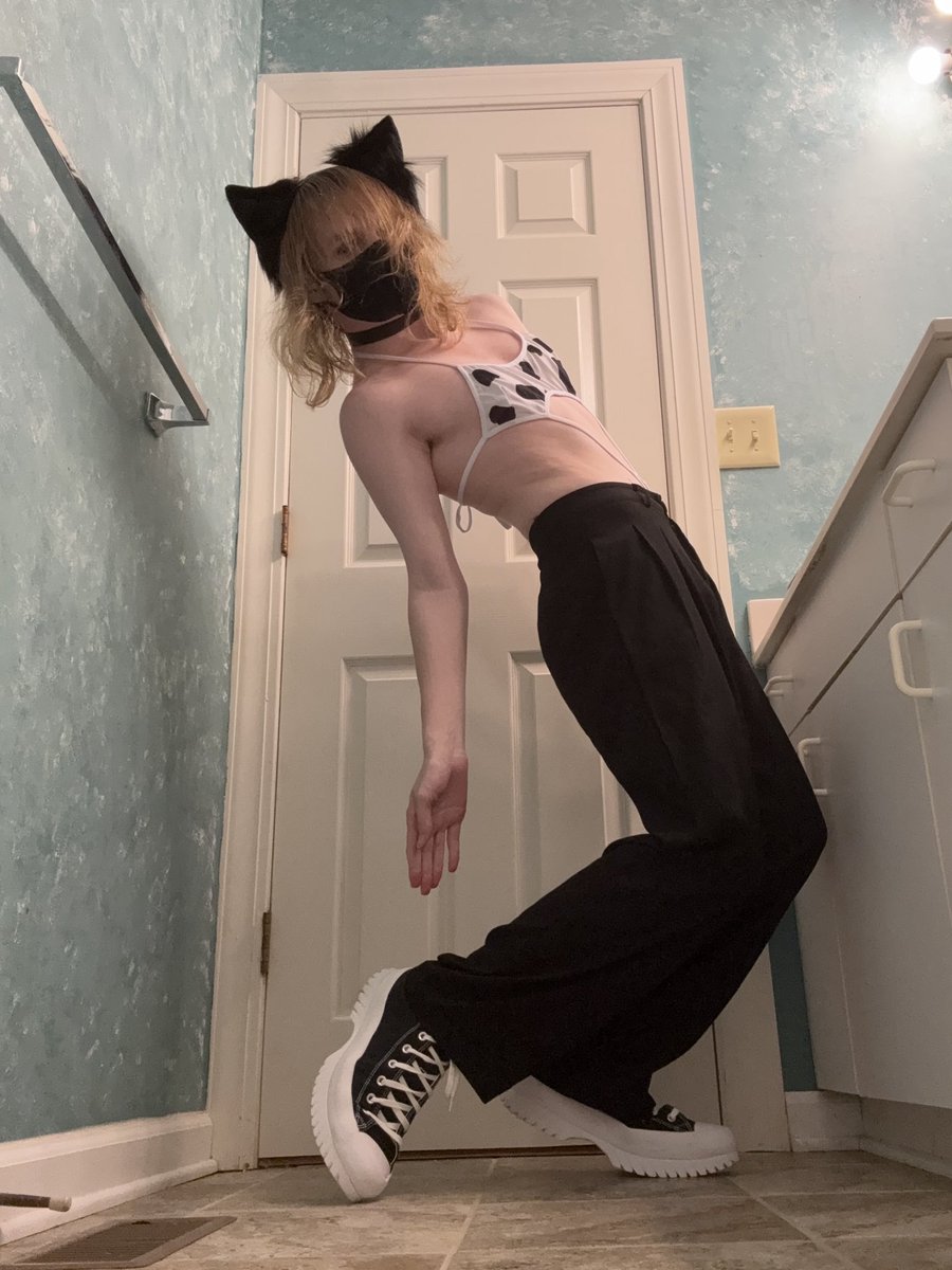 Meowtfits tweet media