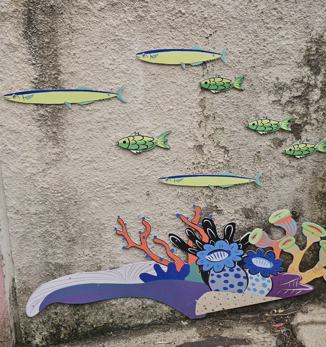 구룡포 꽁치 친구덜 🐟