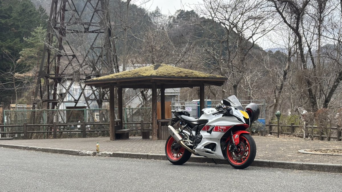きよ tweet media