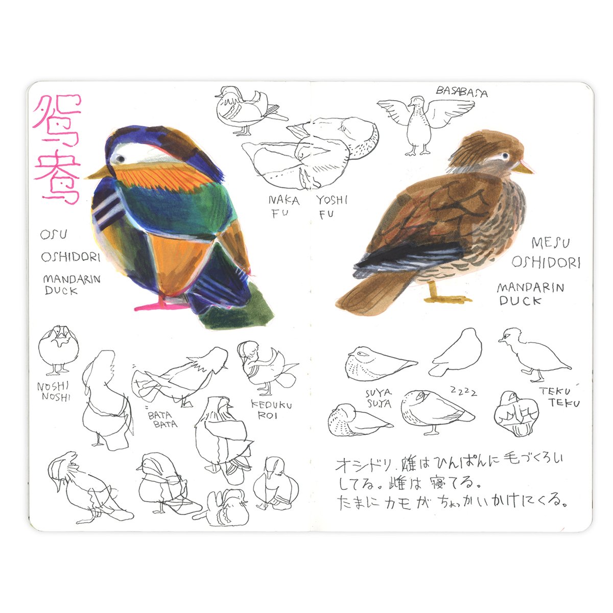 タケウマ tweet media