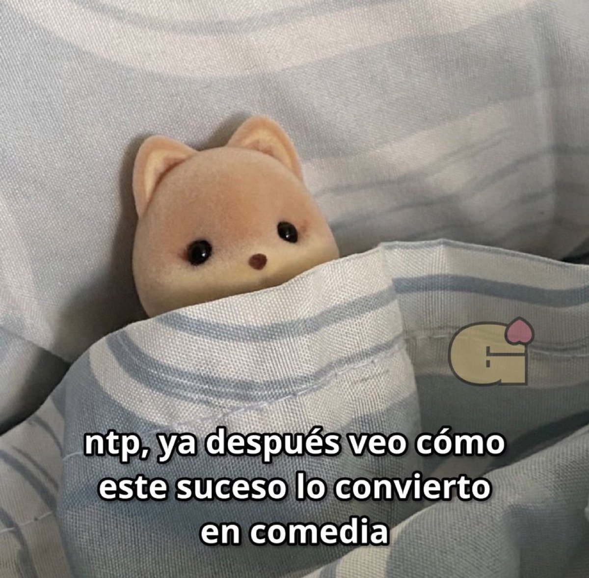 El Guarromántico tweet media