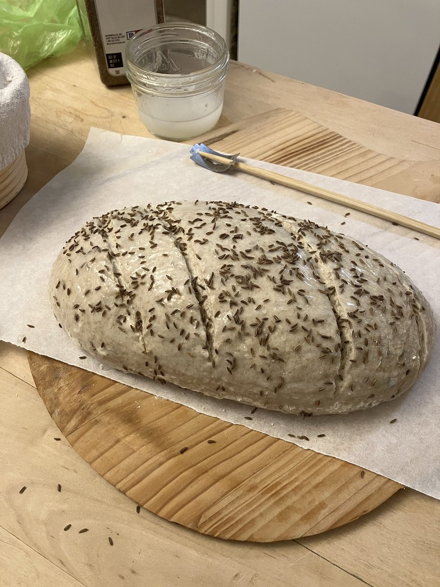 Brdycrdy's tweet photo. #realbreadweek #sourdough 

Yes. It's rye. Yes it's dark. It is 208 degrees done. 

I like my rye bread with dark crust.  Crust imparts flavor to crumb especially for rye which stores much better than others.  

I start bake at 475 for 15. Then 425. Then sits in oven off. https://t.co/8LPQpYGKQT